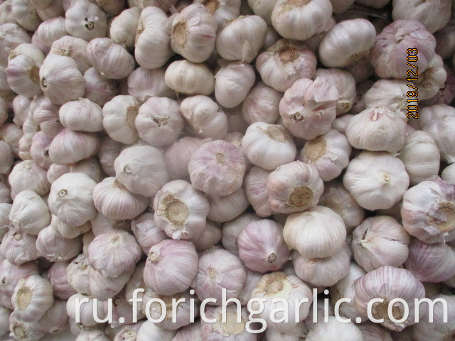 How To Use Fresh Garlic Cloves